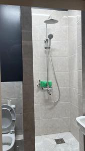 a bathroom with a shower with a toilet and a sink at Friends Hostel in Astana