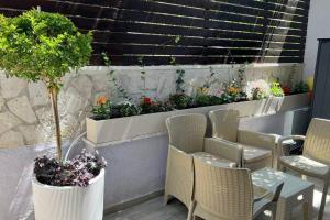 un patio avec des chaises et des plantes sur un mur dans l'établissement Betsalel accommodation, à Jérusalem
