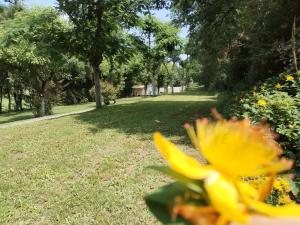 camping nature le Valenty mobil-home-Dordogne panoramique clim piscine外面的花园