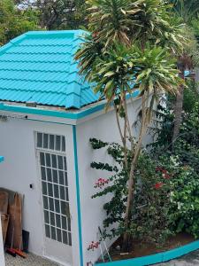 a house with a blue roof and a palm tree at Rental Furnished Studio in Port Louis