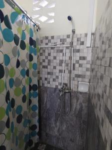 een badkamer met een douche en een douchegordijn bij Rental Furnished Studio in Port Louis