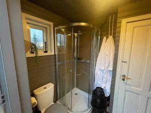 ein Bad mit einer Dusche und einem WC in der Unterkunft Golden Circle Cozy Retreat in Grímsnes og Grafningshreppur
