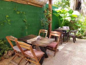 un grupo de mesas y sillas junto a una pared verde en Hakuna Matata Glamping en Bacalar