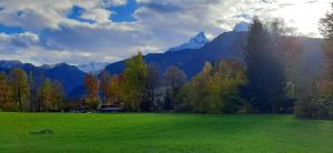 a green field with trees and mountains in the background at Haus Stoaröserl in Schönau am Königssee
