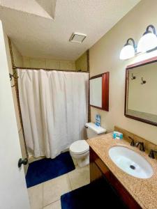 a bathroom with a toilet and a sink and a mirror at Town and Country Getaway 3BR 3BA, 20 min FAMU FSU in Tallahassee