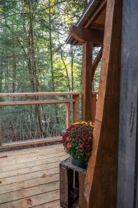 Κήπος έξω από το Enchanted Evergreen