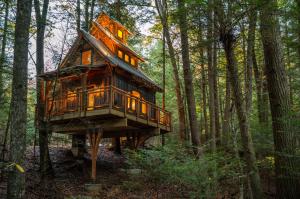 a tree house in the middle of the forest at Enchanted Evergreen in Coffeyville