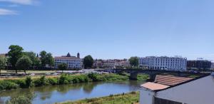 vistas a un río con puente y edificios en Les rives de l'adour, en Dax