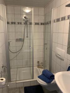 a bathroom with a shower and a toilet and a sink at Hanne's Gästestudio in Osann-Monzel