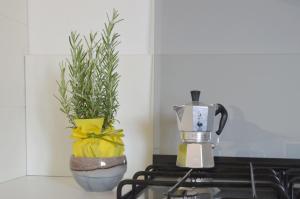 a blender sitting on top of a stove with a plant at Holiday Home Fisherman in Umag