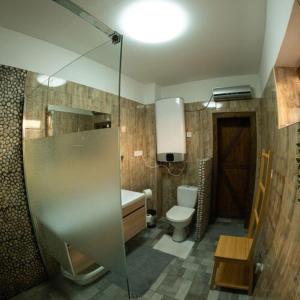 y baño con ducha, aseo y lavamanos. en Nekézseny Gyöngye Vendégház, en Nekézseny