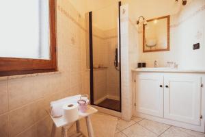 een badkamer met een douche en een wastafel bij Domo de Ciu Nenneddu in Oliena