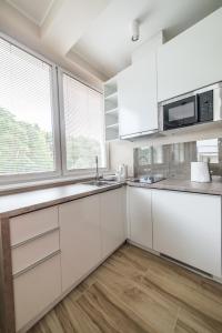 A cozinha ou cozinha compacta de Silver One Apartments