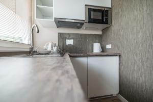 A cozinha ou cozinha compacta de Silver One Apartments