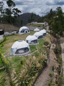 a group of tents in a field of grass at NaturHotel in Cuenca