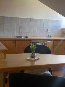 een keuken met een tafel met een plant erop bij Pension Rucksackpeter in Hohenbrugg an der Raab