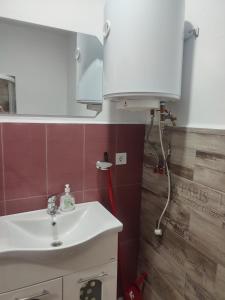y baño con lavabo blanco y ducha. en Apartament Karina en Baia Mare