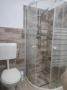 a bathroom with a toilet and a glass shower at Apartament Karina in Baia Mare