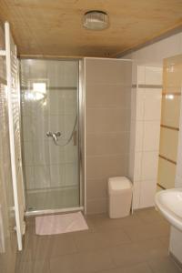 a bathroom with a shower and a toilet and a sink at Hotel Michaela in Ramstein-Miesenbach