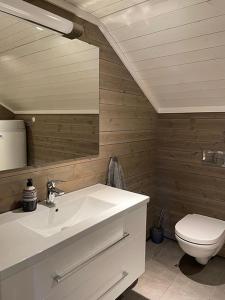 a bathroom with a sink and a toilet at Fjellhytte på Hovden in Hovden