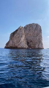 un'isola in mezzo all'acqua di ELISA ROOMS a Capri