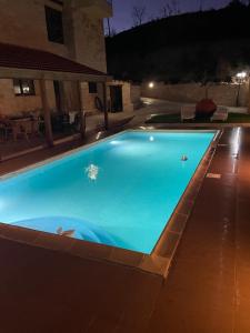 a large blue swimming pool in a yard at night at Softades Cottage in Omodos