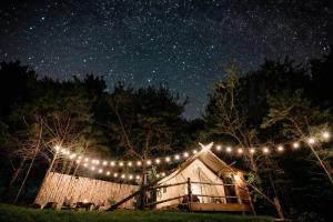 The Original Campsite on 53 acres, Branson, MO في برانسون: خيمة مع سلسلة من الأضواء في الليل