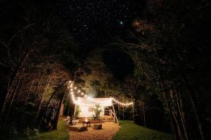 a tent in the middle of a forest at night at The Original Campsite on 53 acres, Branson, MO in Branson