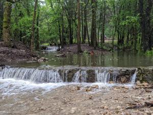 mały wodospad w środku lasu w obiekcie The Original Campsite on 53 acres, Branson, MO w mieście Branson