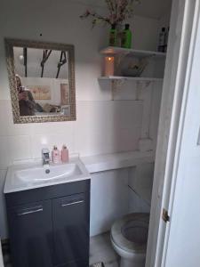 a bathroom with a sink and a toilet and a mirror at Huge Peaceful beamed Sanctuary ! in St. Albans