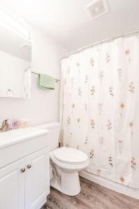 a white bathroom with a toilet and a shower curtain at Cozy, Central 1B Apt Close to UC Hospitals, DT in Bellevue