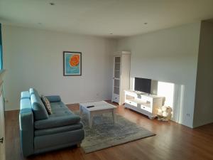 a living room with a couch and a tv at Ferienwohnung auf dem Traubshof in Ochsenhausen