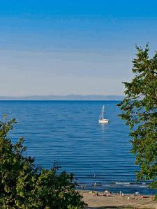 a sail boat in the middle of a large body of water at Apartments Anyfantis in Stómion
