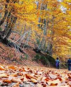 twee mensen lopen over een pad in een bos met bladeren bij Vaela Hotel Cultural Resort in Elatochori