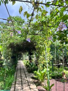 a walkway in a garden with purple flowers at Hotel Villas de la Colina in Atenas