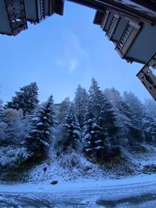 uma vista para uma floresta de árvores cobertas de neve em Appartement au pied des pistes et commerces - 5 personnes em Modane