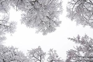 The Kaprun Edition - Luxury Chalets & Style Suites durante l'inverno