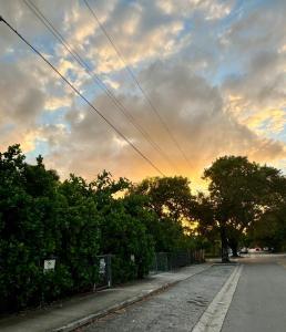 an empty street with trees and a cloudy sky at Nice Queen Bedroom - Best Location in Miami - Luggage Storage Service, Parking and Laundry for free!!!! in Miami