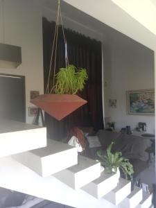 una maceta colgante en una sala de estar con sofá en Pousada Flor de Lis Homestay, en Volta Redonda