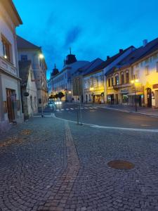 een geplaveide straat in een stad 's nachts bij Apartmán Heřmanův Městec náměstí in Hermanuv Mestec