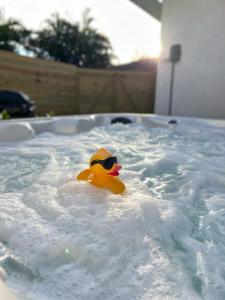 a yellow rubber duck sitting in a hot tub at Crest Lake Beach House in Clearwater