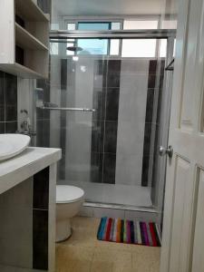 a bathroom with a shower and a toilet and a sink at R-8 Amplio apartamento en zona turística. in Panama City