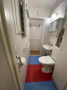 a bathroom with a white toilet and a red and blue floor at Spacious city apartment in Rovaniemi