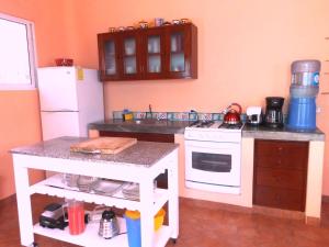 Kuchyň nebo kuchyňský kout v ubytování Casa Gatos Suites