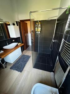 bagno con doccia, lavandino e servizi igienici di Casa Ely a Pegognaga
