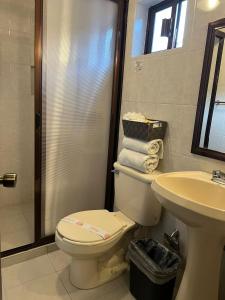 bagno con servizi igienici e lavandino di Hotel Posada Real a Mineral del Monte