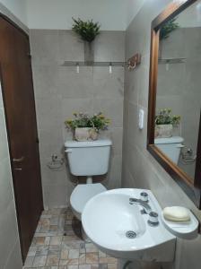 a bathroom with a toilet and a sink and a mirror at Espacio Verde in Salta