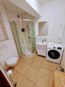 W łazience znajduje się prysznic, toaleta i umywalka. w obiekcie Drzewna Apartamenty-Kupiecka 66A w Zielonej Górze