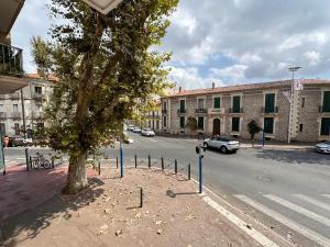 une rue avec un arbre sur le côté de la route dans l'établissement Chambres dans Grand Appartement - Centre-ville, à Montpellier