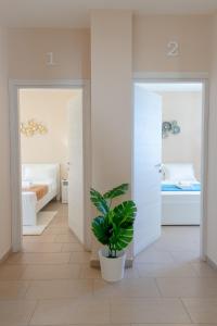 a room with two beds and a potted plant at L'Affaccio Rooms - Lungomare Gallipoli in Gallipoli